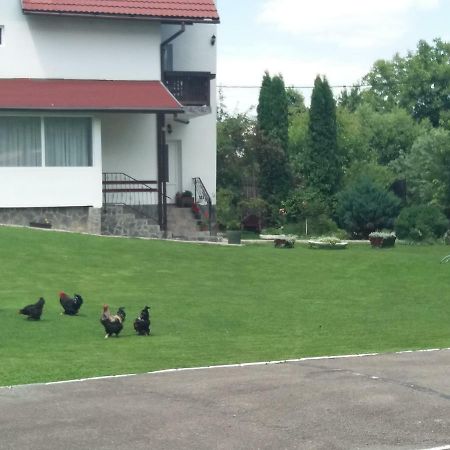 Pensiunea Vladut Bran  Esterno foto