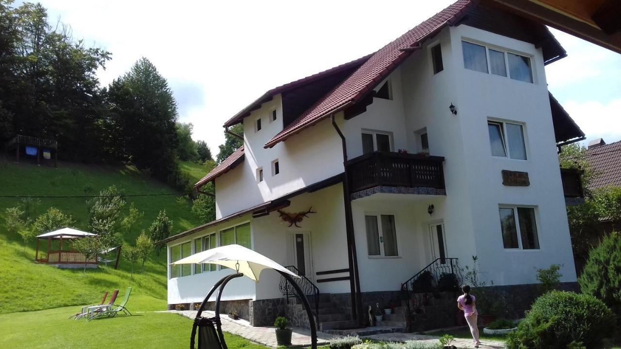 Pensiunea Vladut Bran  Esterno foto