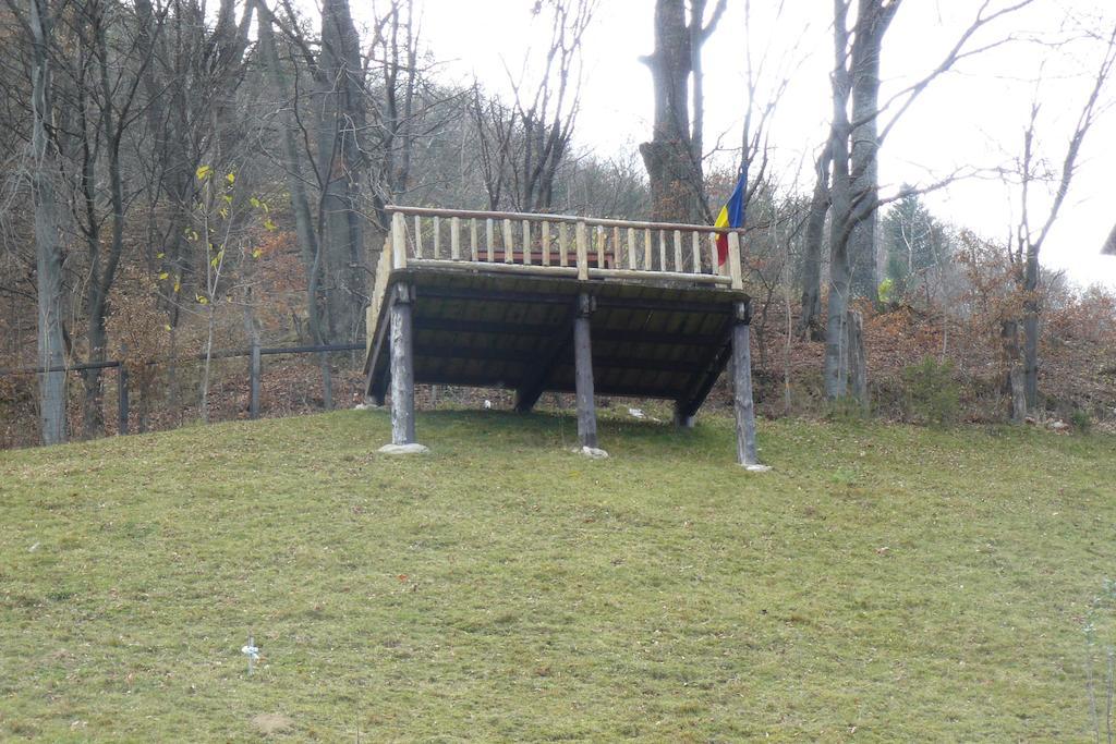 Pensiunea Vladut Bran  Camera foto