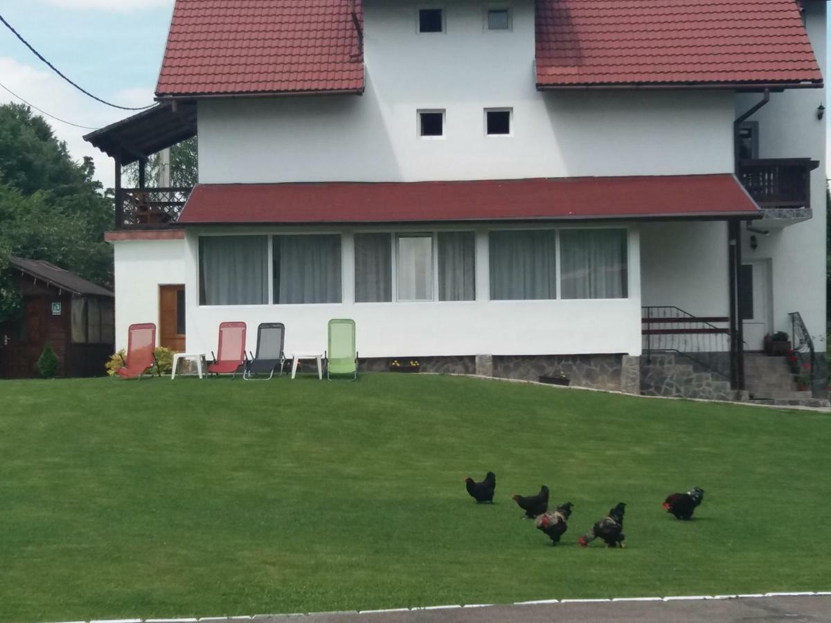 Pensiunea Vladut Bran  Esterno foto