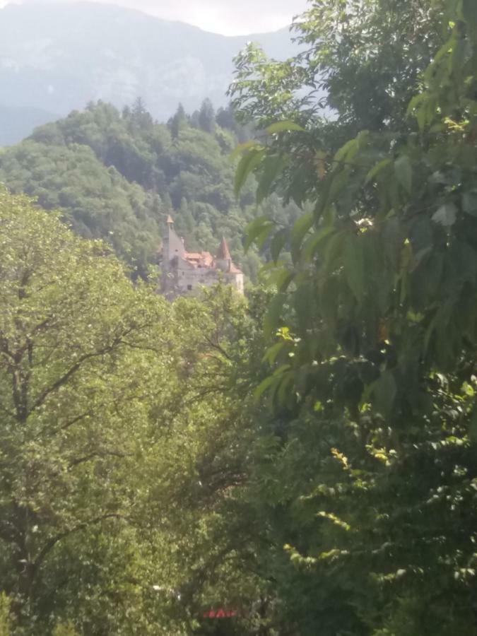 Pensiunea Vladut Bran  Esterno foto