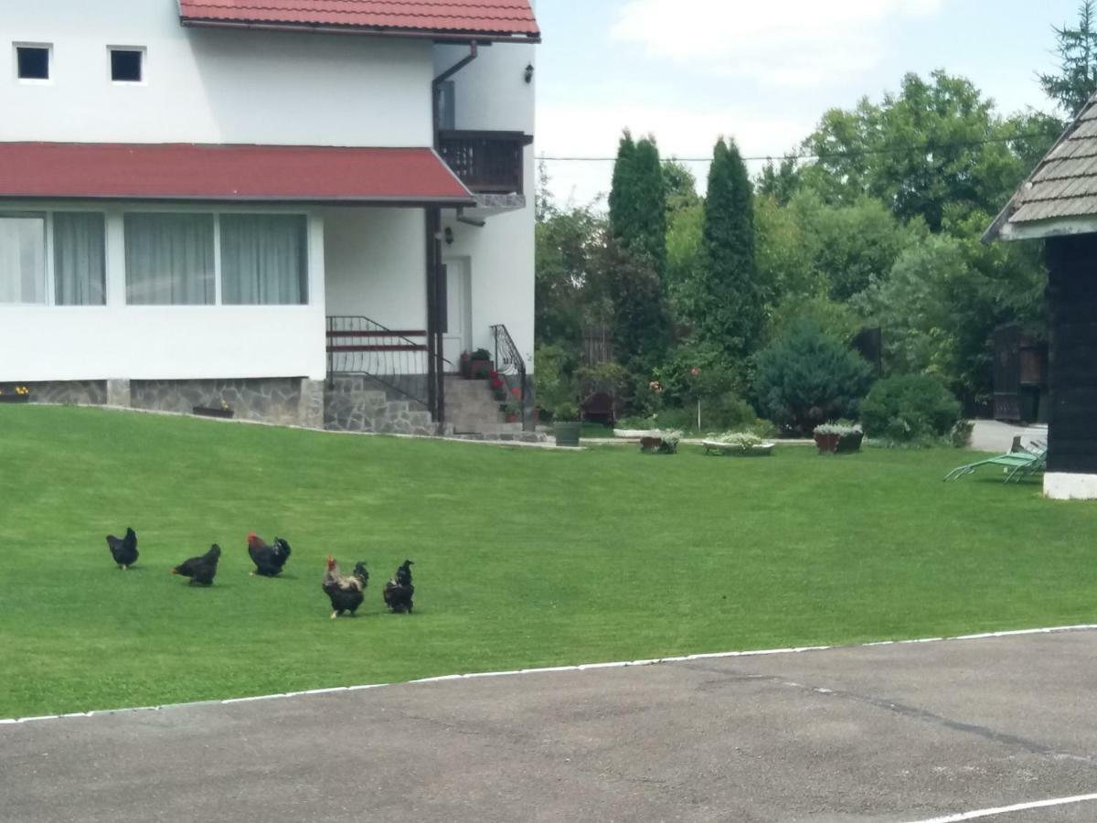Pensiunea Vladut Bran  Esterno foto